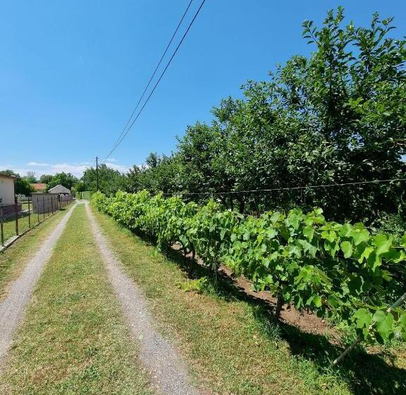 پانسیون Balabani Local Stay
