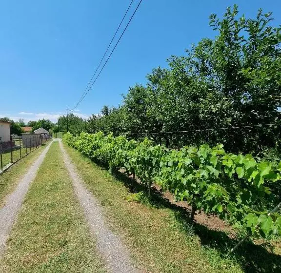 پانسیون Balabani Local Stay