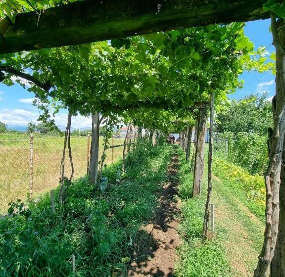 پانسیون Balabani Local Stay