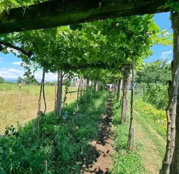 پانسیون Balabani Local Stay