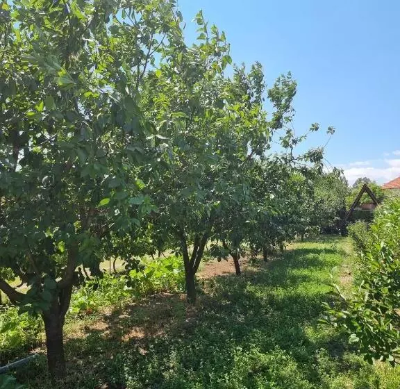 پانسیون Balabani Local Stay