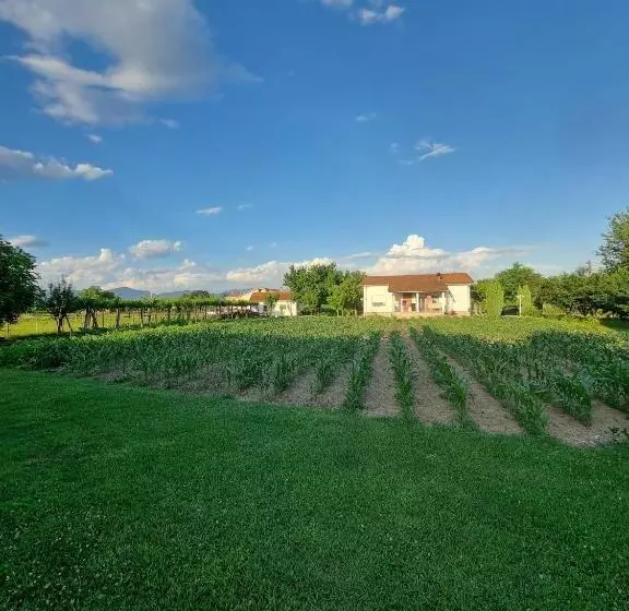 پانسیون Balabani Local Stay