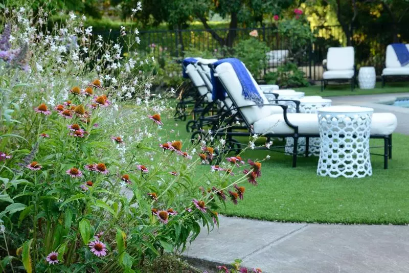 Bed and Breakfast The White House Napa Valley