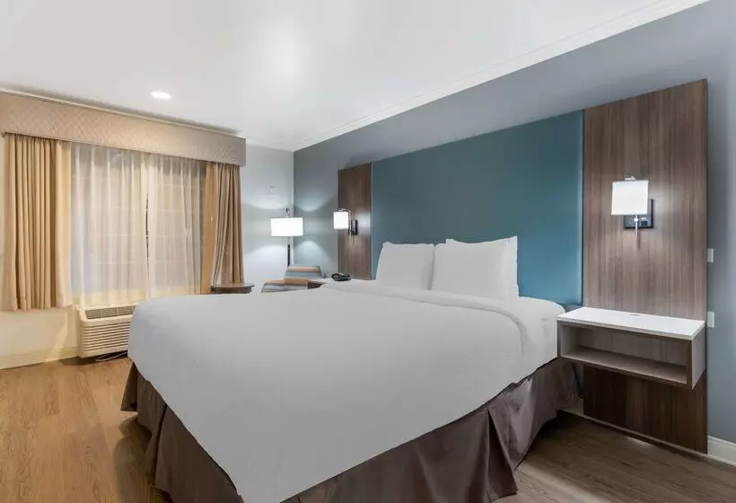 ホテル Best Western Plus Riviera