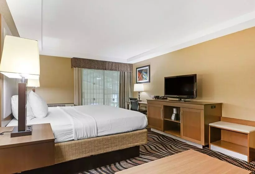 Отель Best Western Summit Inn