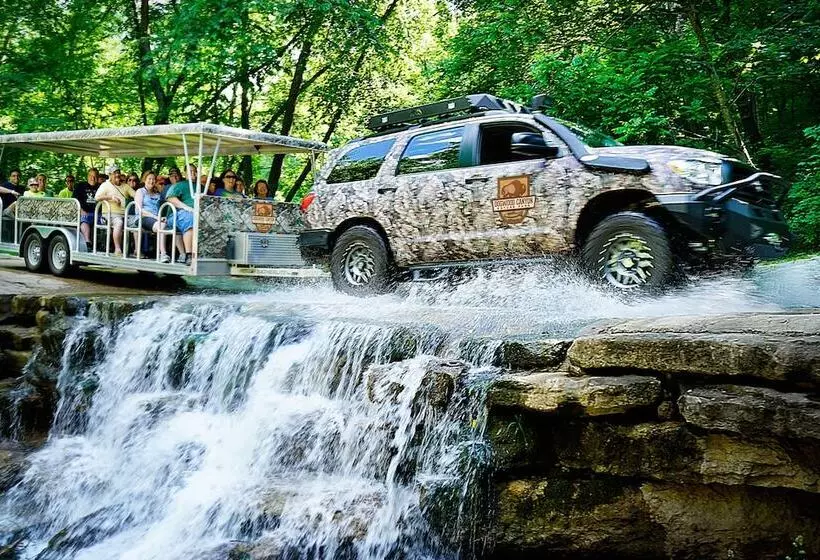 فندق Big Cedar Lodge