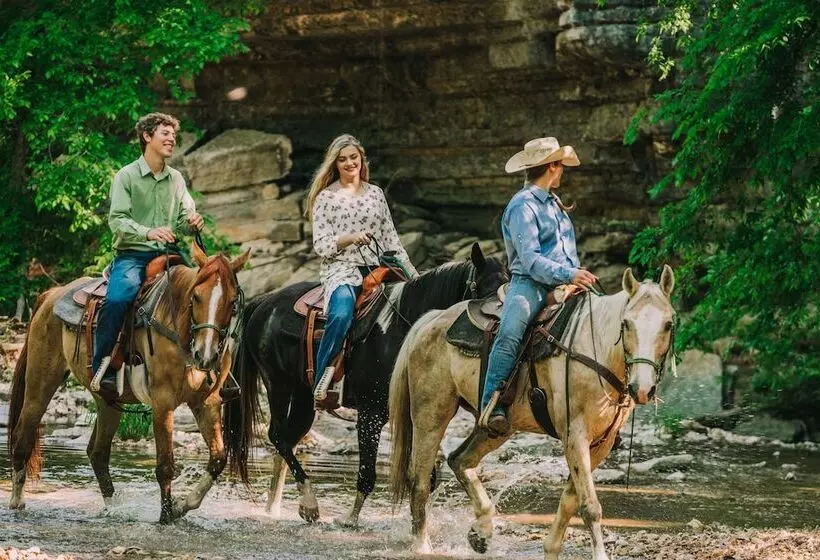 فندق Big Cedar Lodge