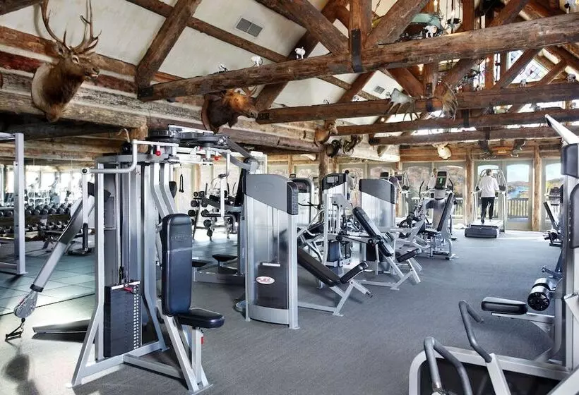 فندق Big Cedar Lodge