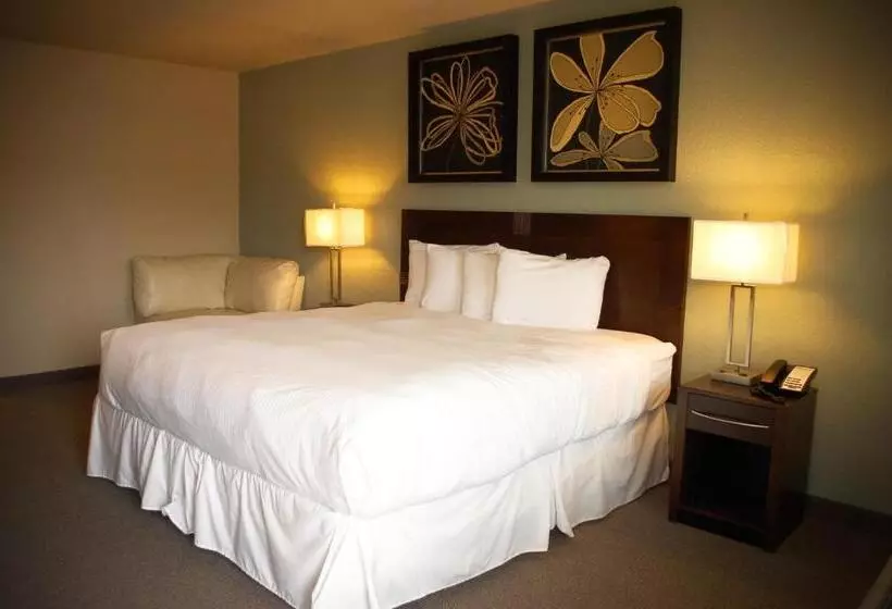 בית מלון כפרי Unique Suites