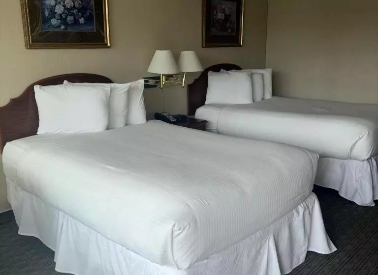 בית מלון כפרי Unique Suites