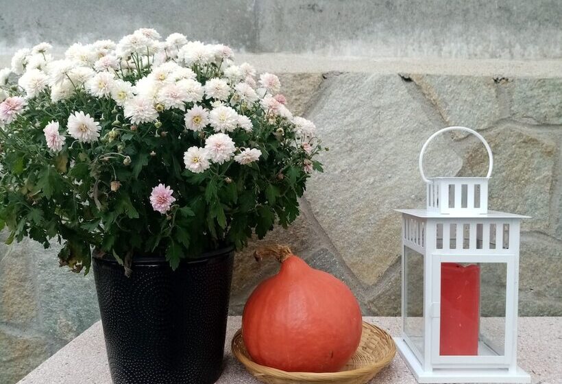 بنسيون Villa Dell'arte