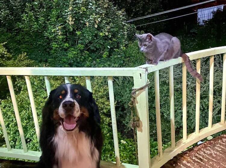 تختخواب و صبحانه Casa Ankulenmo