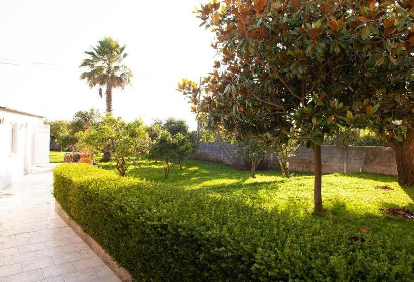 هاستل Estela Surf Camp & Surf School