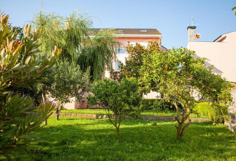 هاستل Estela Surf Camp & Surf School