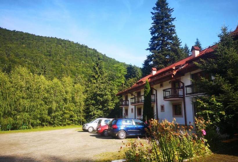 Отель Floarea Reginei