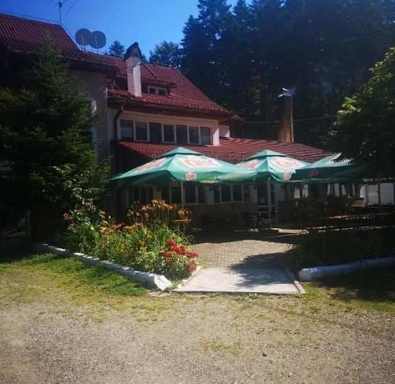 Отель Floarea Reginei