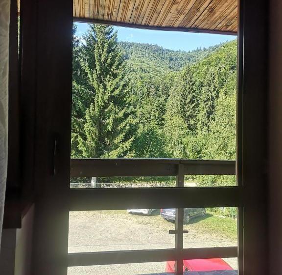 Отель Floarea Reginei