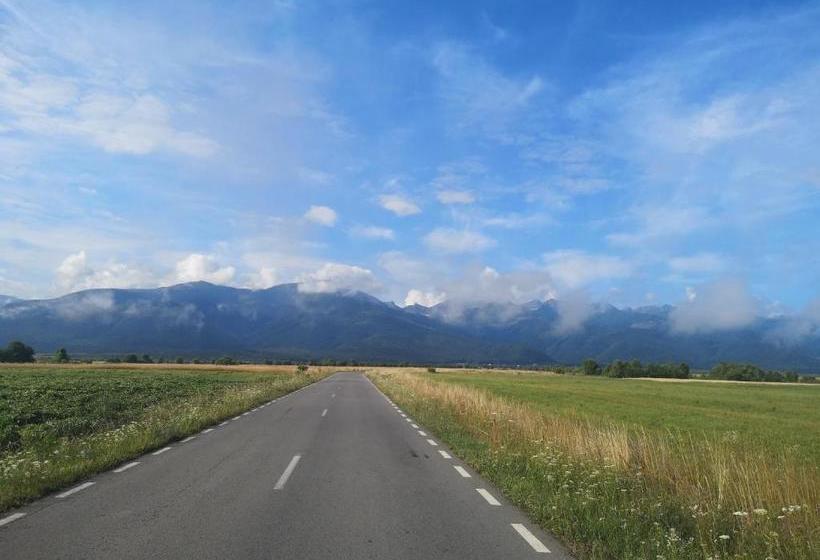 Отель Floarea Reginei