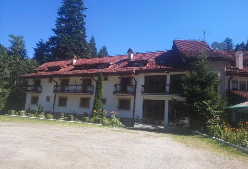 Отель Floarea Reginei