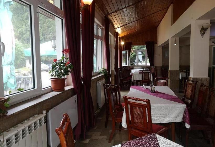 Отель Floarea Reginei