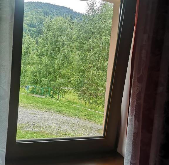 Отель Floarea Reginei