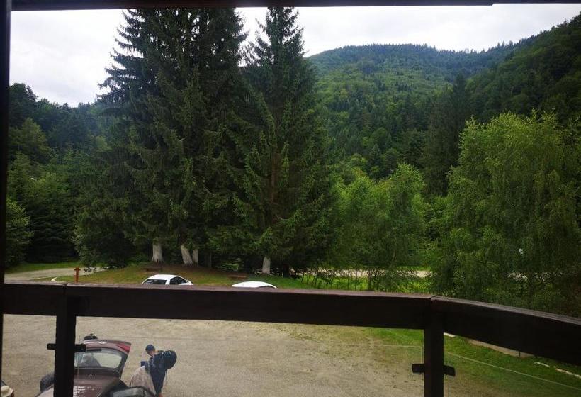 Отель Floarea Reginei