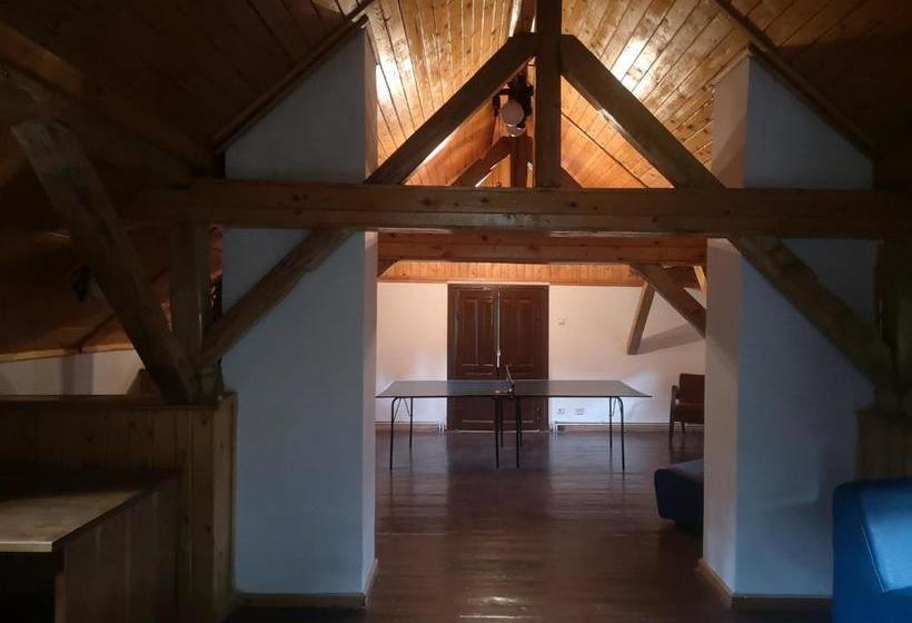 Отель Floarea Reginei