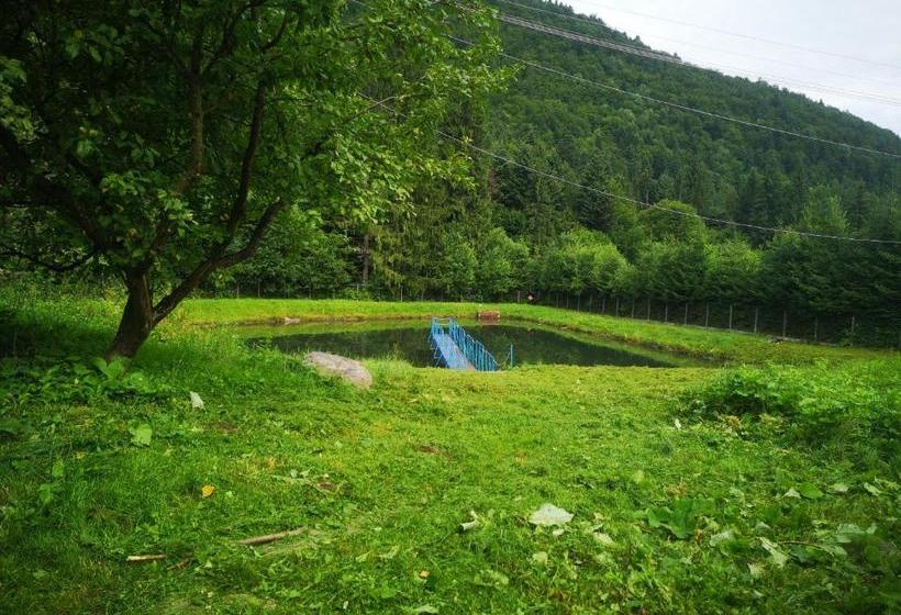 Отель Floarea Reginei