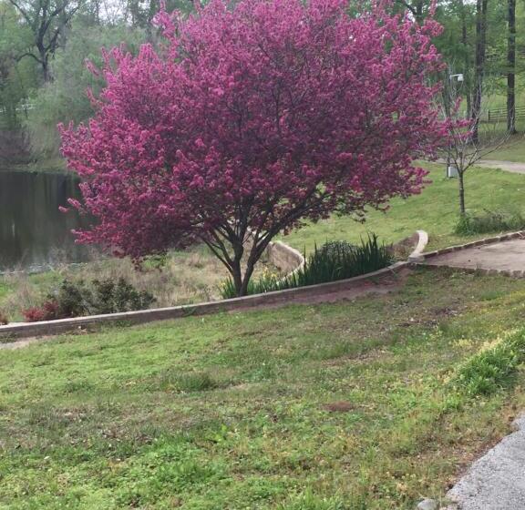 بنسيون Dogwood Springs Lodgings