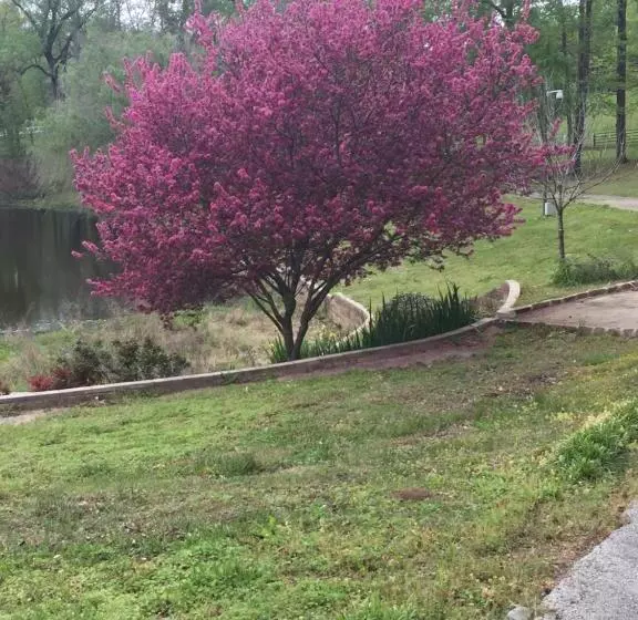 Majatalo Dogwood Springs Lodgings