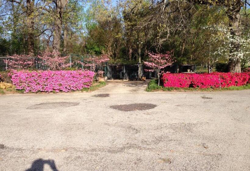 بنسيون Dogwood Springs Lodgings