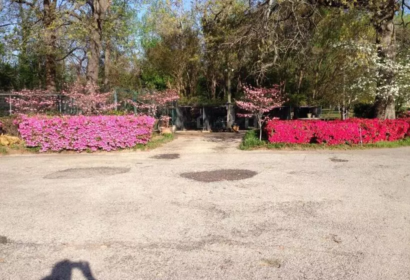 Majatalo Dogwood Springs Lodgings