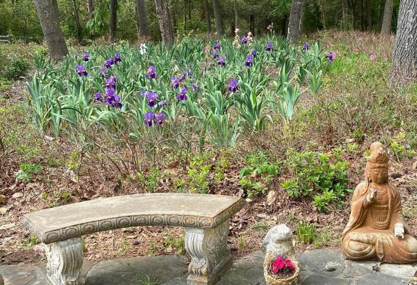 بنسيون Dogwood Springs Lodgings