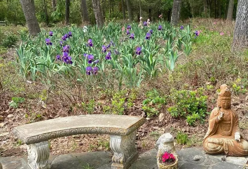 Majatalo Dogwood Springs Lodgings