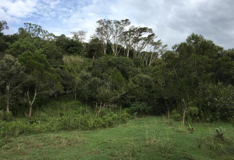 پانسیون Olesamara Collection