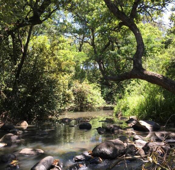 پانسیون Olesamara Collection