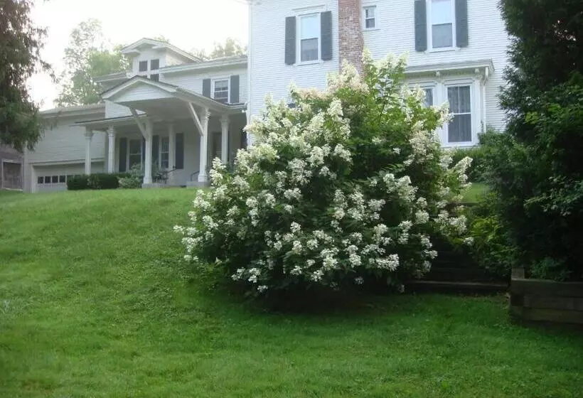 Antique Mansion B & B