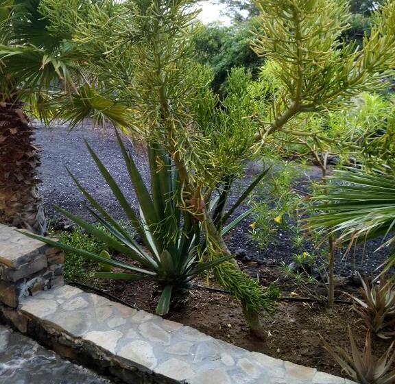 تختخواب و صبحانه Chambre Indépendante