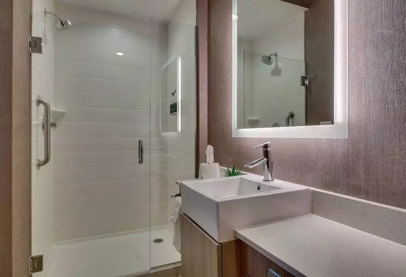 ホテル Springhill Suites By Marriott Gulfport I10