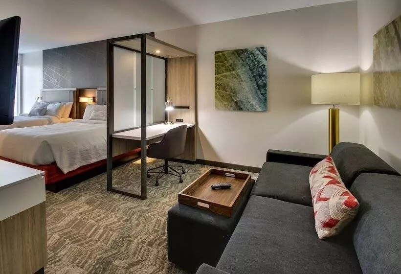 ホテル Springhill Suites By Marriott Gulfport I10