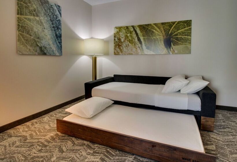 Отель Springhill Suites By Marriott Gulfport I10