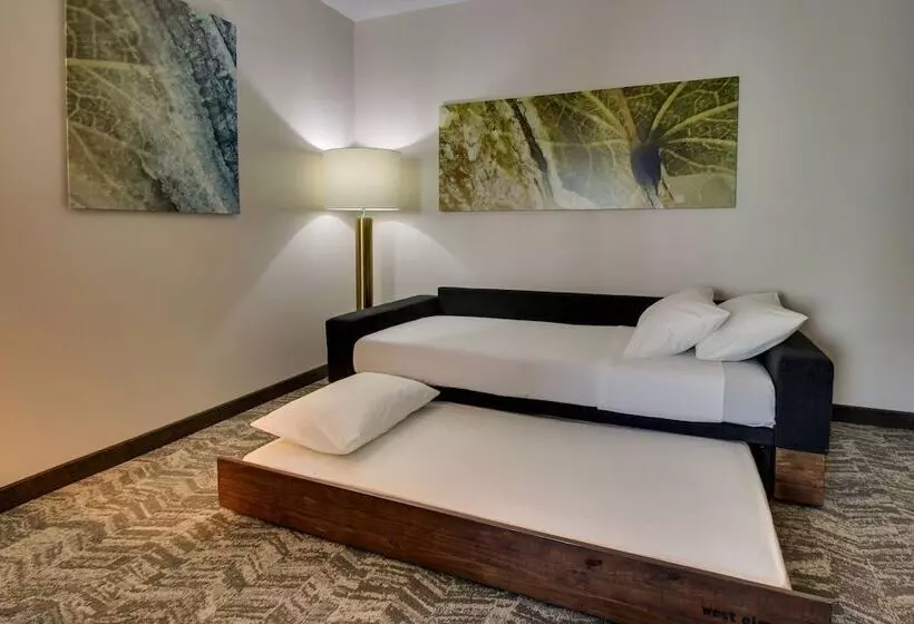 ホテル Springhill Suites By Marriott Gulfport I10
