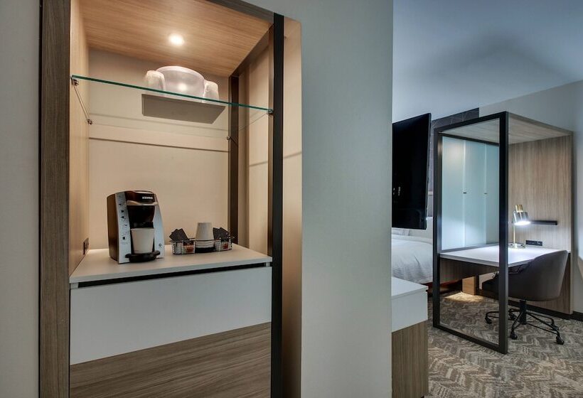 Отель Springhill Suites By Marriott Gulfport I10