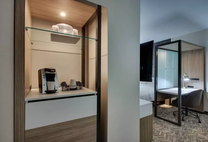 ホテル Springhill Suites By Marriott Gulfport I10