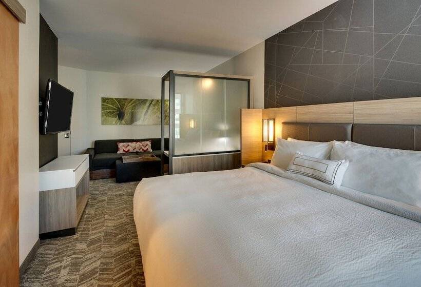 Отель Springhill Suites By Marriott Gulfport I10