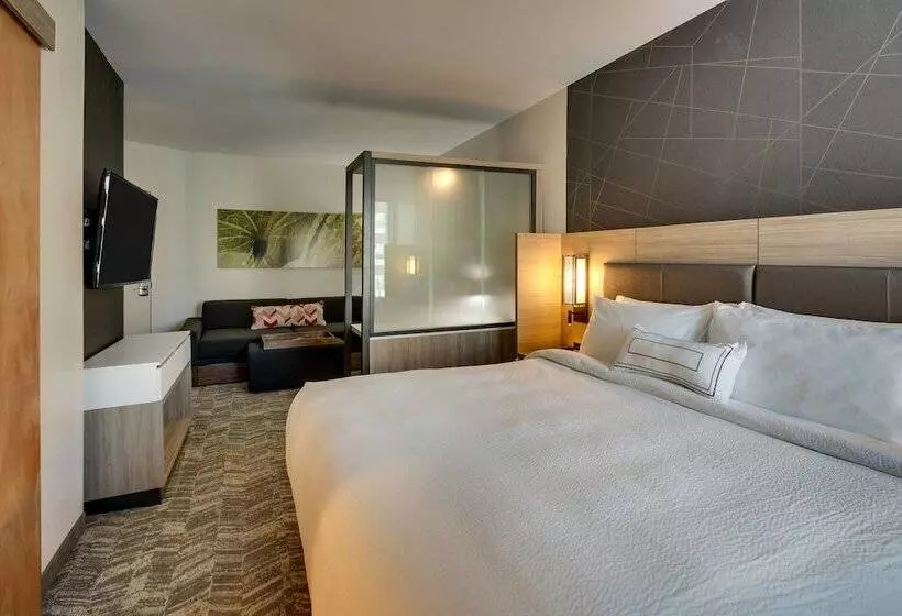 ホテル Springhill Suites By Marriott Gulfport I10