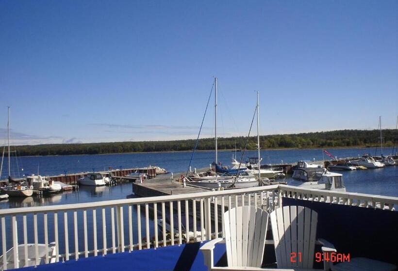 הוסטל Harbor Guest House