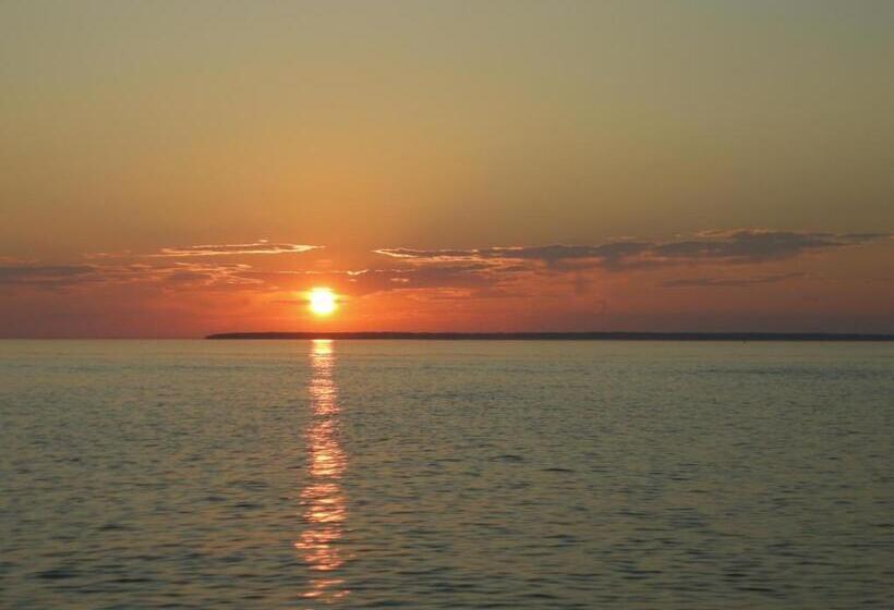 הוסטל Harbor Guest House