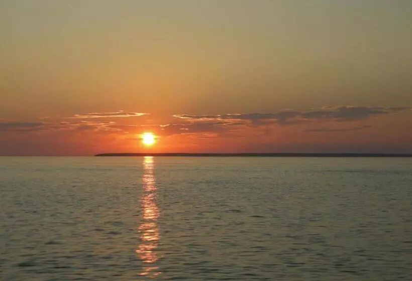 ユースホステル Harbor Guest House