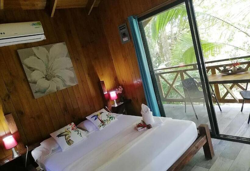 Bed and Breakfast Casa El Colibrí